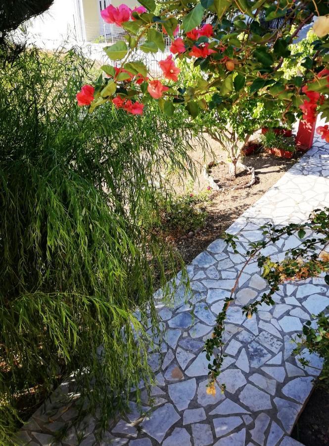 Anestis Studios Agios Georgios  Exterior foto